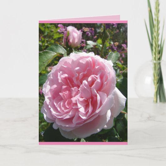 Roze Vintage Kool Engelse Roos bloemkaart Kaart (Voorkant)