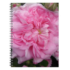 Roze Vintage Roos bloemen Notitieboek