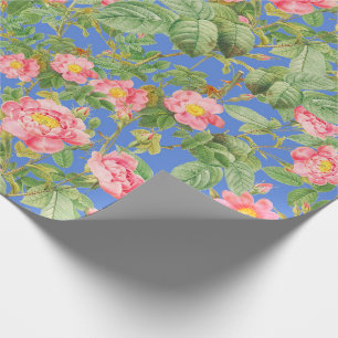 Roze Vintage Roos Cadeaupapier op Korenbloem Blauw
