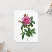 Roze vintage roos  kaart (Voorkant / Achterkant in situ)