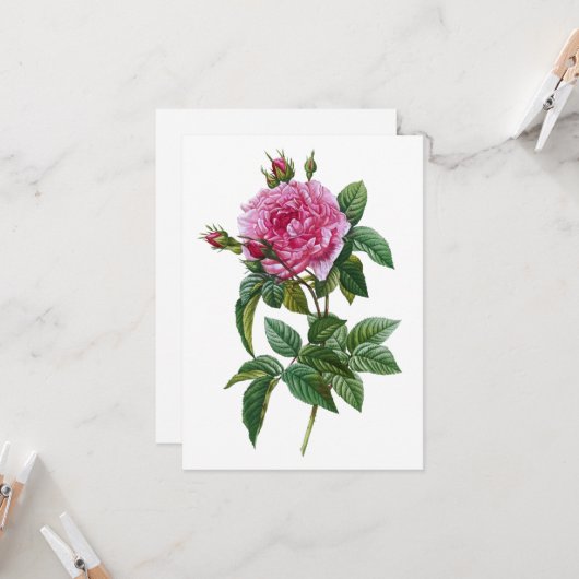 Roze vintage roos  kaart (Voorkant / Achterkant in situ)