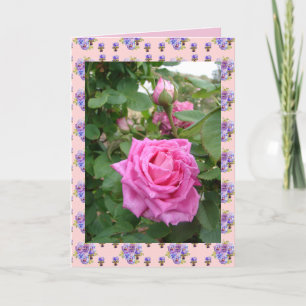 Roze Vintage Roos Rozen bloem bloemen tuin Kaart