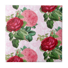 Roze vintage rozen op Damast decoratie Tegeltje
