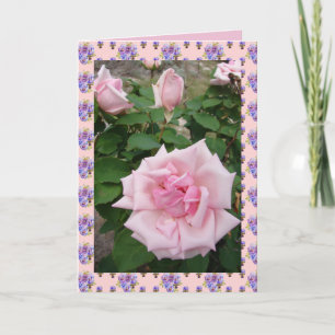 Roze Vintage Rozen Rozentuin bloemen Kaart