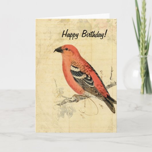 Roze Vintage Vogel, Verjaardag Kaart (Voorkant)