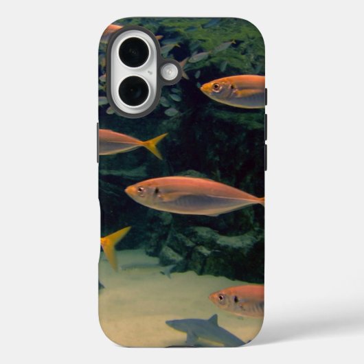 Roze vis Shoal onderwater foto Case-Mate iPhone Case (Achterkant)
