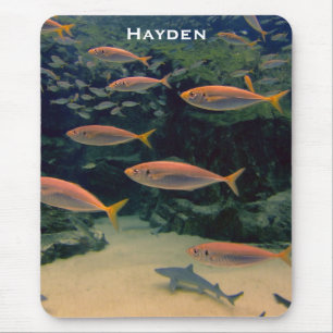 Roze vis Shoal Onderwater foto gepersonaliseerd Muismat