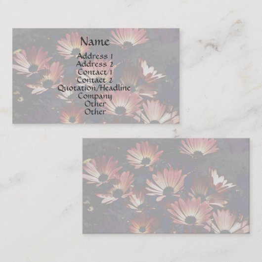 Roze Visitekaartje van Afrikaanse Daisies Floral (Voorkant / Achterkant)