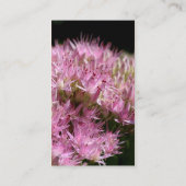 Roze Visitekaartje voor fotografie van Sedum (Achterkant)