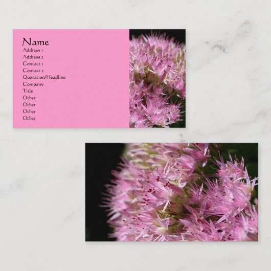 Roze Visitekaartje voor fotografie van Sedum (Voorkant / Achterkant)
