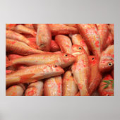 Roze visPoster/Afdruk Poster (Voorkant)