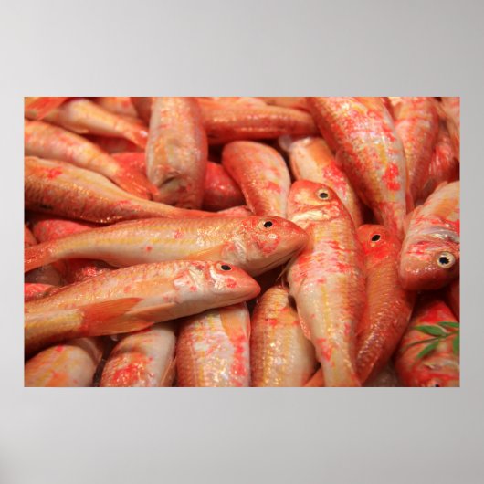 Roze visPoster/Afdruk Poster (Voorkant)