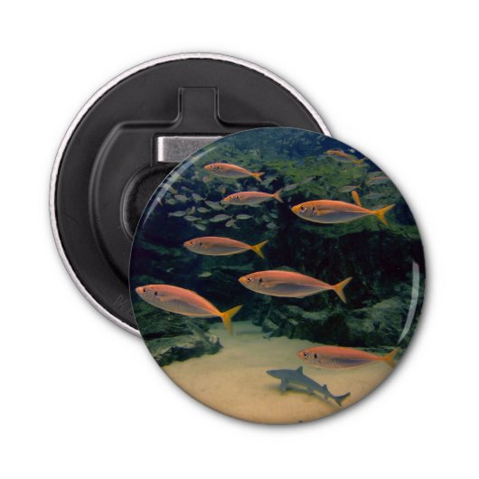 Roze visshow button flesopener (Voorkant)