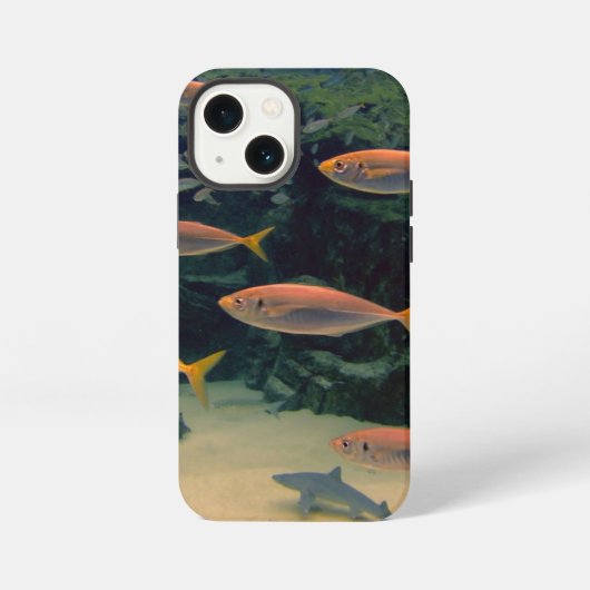 Roze visshow iPhone hoesje (Achterkant)