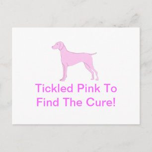 Roze Vizsla Briefkaart