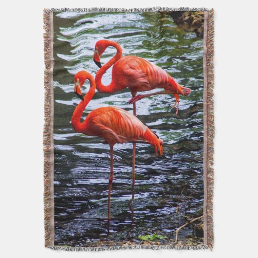 Roze vlamingos in water deken (Voorkant Verticaal)