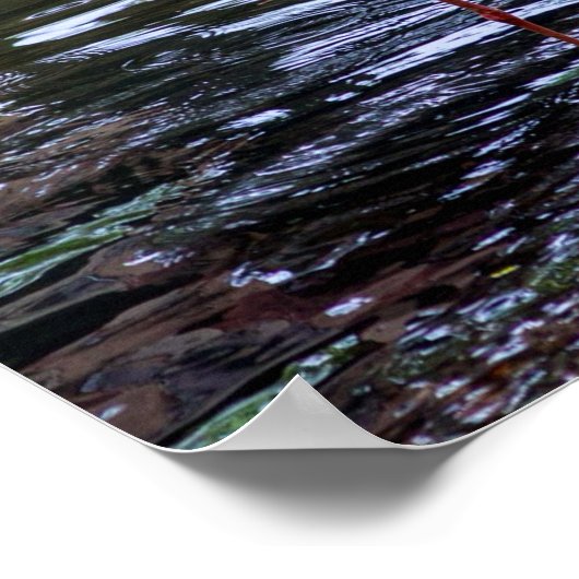 Roze vlamingos in water poster (Hoek)