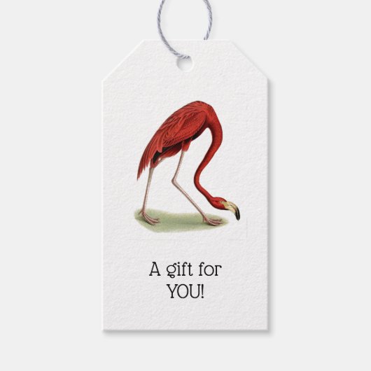  roze vlamJong #1 Cadeaulabel (Voorkant)