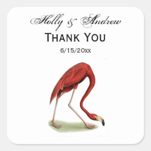  roze vlamJong #1 Vierkante Sticker