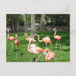 Roze vlammen briefkaart