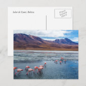 Roze vlammen in Bolivia Briefkaart (Voorkant / Achterkant)