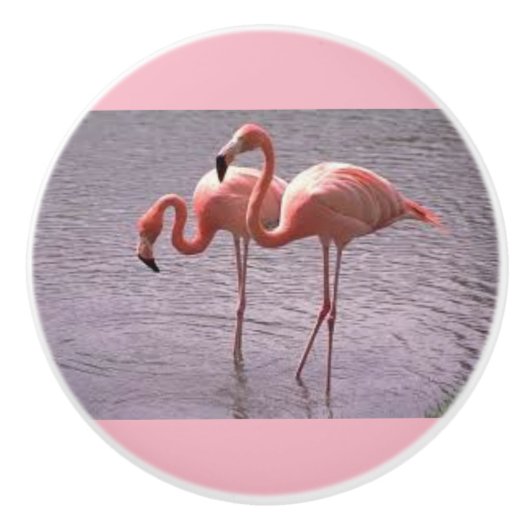 Roze vlammen op keramische knobben en pullen knop (Voorkant)