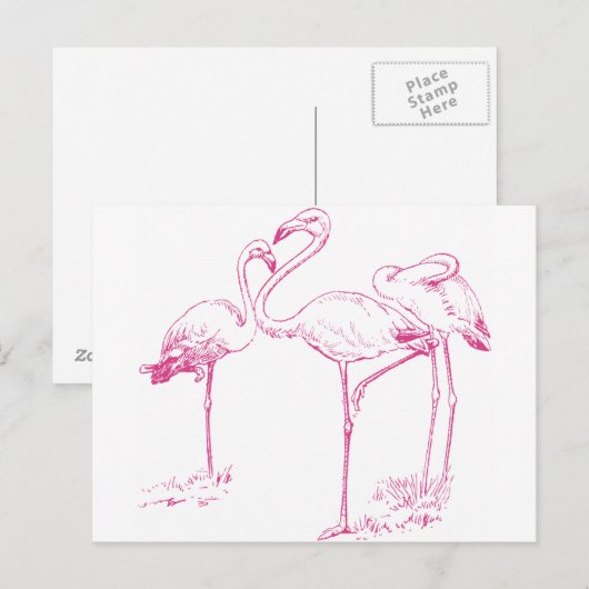  roze vleugelvleugelvleugel briefkaart (Voorkant / Achterkant)