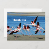 Roze Vliegende Flamingo Natuurfoto Dank U Briefkaart (Voorkant / Achterkant)