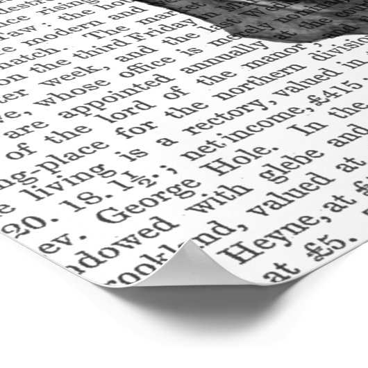 Roze vlinder Masker Poster (Hoek)