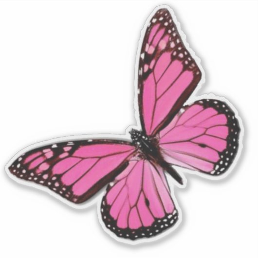 roze vlinder sticker (Voorkant)