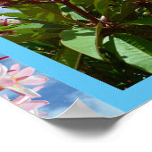roze vlinderbloemboom, poster (Hoek)