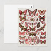  roze vlinders briefkaart (Voorkant / Achterkant)