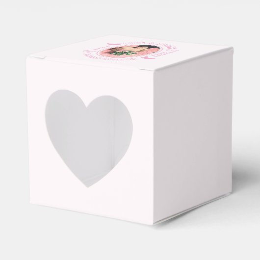 Roze Vlinders Quinceanera Bedankdoosjes (Voorkant Zijde)