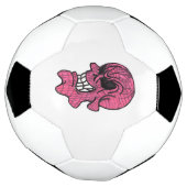 Roze Voetbal (Gedraaid)