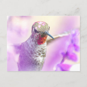 Roze vogel van Anna die over paarse bloemen vliegt Briefkaart