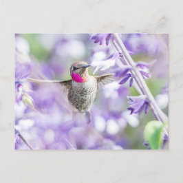 Roze vogel vliegend in Paars Briefkaart