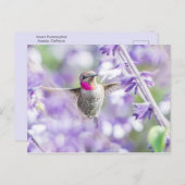 Roze vogel vliegend in Paars Briefkaart (Voorkant / Achterkant)