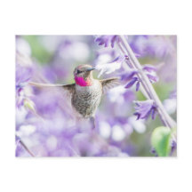 Roze vogel vliegend in Paars
