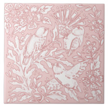  roze vogelpest Natuur Dier