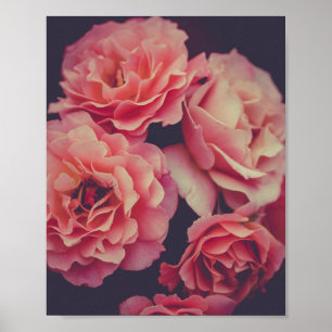 Roze volkbloemen poster