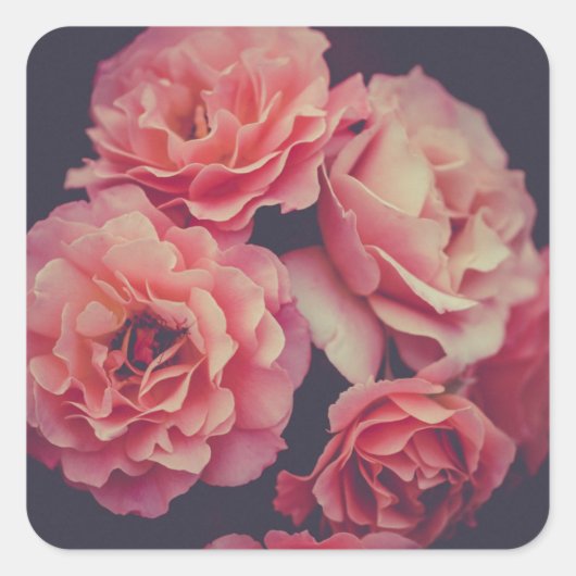 Roze volkbloemen vierkante sticker (Voorkant)