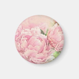 Roze volken magneet