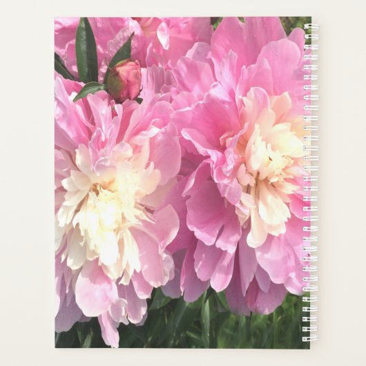 Roze volken planner (Achterkant)