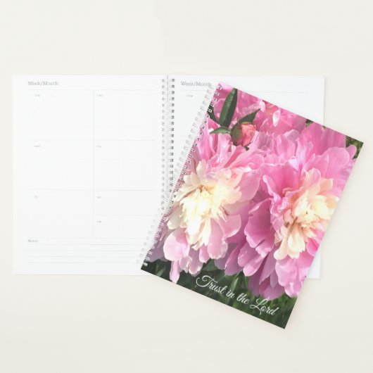 Roze volken planner (Display)