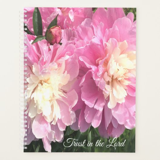 Roze volken planner (Voorkant)