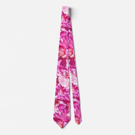 Roze volken! Stropdas (Voorkant)