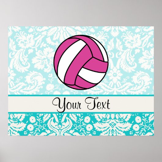 Roze volleybal; Damaspatroon Poster (Voorkant)