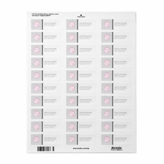 Roze Volleybal Grijs Chevron Aangepaste Adresetike Etiket (Full Sheet)