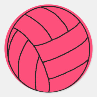 Roze Volleybal Sticker