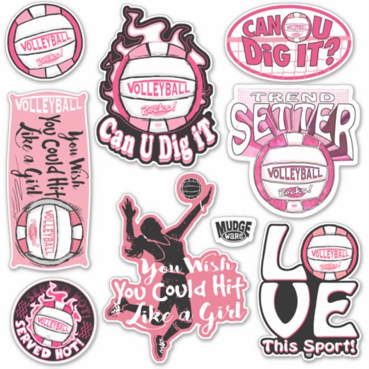 Roze volleybalRocks Sticker (Voorkant)